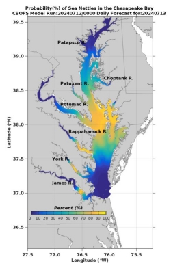 Chesapeake Bay Sea Nettle predictive model